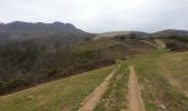 Trail Walking Bera - Massif de la  Rhune depuis col Lizunaga - Photo 2