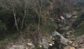 Trail Walking Argelès-sur-Mer - 66 LE RIMBAU, entre Madeloc et Massane, promenade dans le vignoble - Photo 11