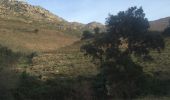 Tour Wandern Argelès-sur-Mer - 66 LE RIMBAU, entre Madeloc et Massane, promenade dans le vignoble - Photo 10
