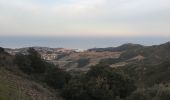 Tour Wandern Argelès-sur-Mer - 66 LE RIMBAU, entre Madeloc et Massane, promenade dans le vignoble - Photo 4