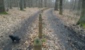 Percorso Marcia Verrières-le-Buisson - Bois de Verrières avec mana - Photo 3