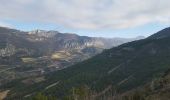 Tocht Stappen Buis-les-Baronnies - buis hanibal mindrits  - Photo 4