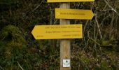 Trail Walking Bielle - Pics de Cambeilh et petit Gerbe  - Photo 1