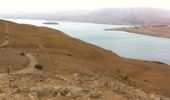 Excursión Otra actividad Unknown - lac Tekapo - Photo 2