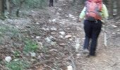 Trail Walking Roquefort-la-Bédoule - Roquefort la bedoule - Photo 5