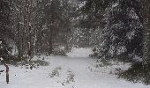 Percorso Racchette da neve Laprugne - Loge des Gardes neige - Photo 2