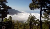 Tour Wandern El Paso - La Palma-Pico Bejenado-PR13 - Photo 6
