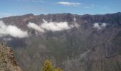 Trail Walking El Paso - La Palma-Pico Bejenado-PR13 - Photo 4