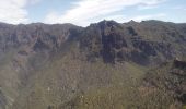 Excursión Senderismo El Paso - La Palma-Pico Bejenado-PR13 - Photo 3