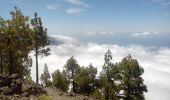 Tour Wandern El Paso - La Palma-Pico Bejenado-PR13 - Photo 1