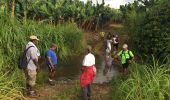 Trail Walking Gros-Morne - Reco marche royale 2016 - Photo 7