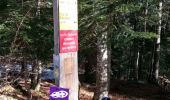 Randonnée Raquettes à neige Autrans-Méaudre en Vercors - Le Pas de Pertuson - Photo 1