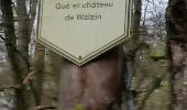 Tour Wandern Dinant - ANSEREMME (Passerelle) - Photo 2