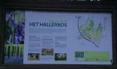 Excursión Senderismo Halle - Hallebois - Photo 8