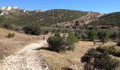 Trail Walking Les Baux-de-Provence - Maussane les alpilles : Les amants - Photo 20