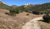 Trail Walking Les Baux-de-Provence - Maussane les alpilles : Les amants - Photo 19