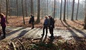 Tour Nordic Walking Grez-Doiceau - Nethen 11km - Photo 17