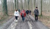 Trail Nordic walking Grez-Doiceau - Nethen 11km - Photo 5