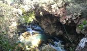 Excursión Senderismo Le Cannet-des-Maures - chapelle st Michel 26 02 2016 - Photo 2