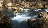 Excursión Senderismo Le Cannet-des-Maures - chapelle st Michel 26 02 2016 - Photo 7