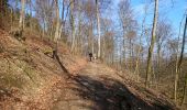 Trail Walking La Roche-en-Ardenne - Hives, vallée des Tombes - Photo 1