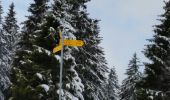 Randonnée Raquettes à neige Les Rousses - La Bourbe_Mont Sala 12.3km - Photo 6