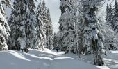 Randonnée Raquettes à neige Les Rousses - La Bourbe_Mont Sala 12.3km - Photo 5