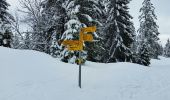 Randonnée Raquettes à neige Les Rousses - La Bourbe_Mont Sala 12.3km - Photo 3