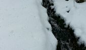 Randonnée Raquettes à neige Le Valtin - raquettes  - Photo 12