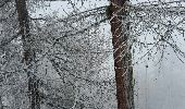 Randonnée Raquettes à neige Peisey-Nancroix - CRAB - MARDI 01 MARS - AM - Photo 6