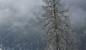 Randonnée Raquettes à neige Peisey-Nancroix - CRAB - MARDI 01 MARS - AM - Photo 5