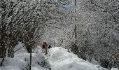 Randonnée Raquettes à neige Peisey-Nancroix - CRAB - MARDI 01 MARS - AM - Photo 3