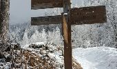 Randonnée Raquettes à neige Peisey-Nancroix - CRAB - MARDI 01 MARS - AM - Photo 1