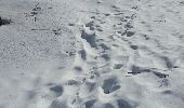 Randonnée Raquettes à neige Peisey-Nancroix - CRAB - MARDI 01 MARS – PM  - Photo 2