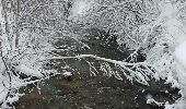 Randonnée Raquettes à neige Peisey-Nancroix - CRAB - JEUDI 03 MARS - AM - Photo 1