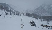 Randonnée Raquettes à neige Peisey-Nancroix - CRAB - JEUDI 03 MARS - PM - Photo 4