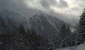 Randonnée Raquettes à neige Peisey-Nancroix - CRAB - JEUDI 03 MARS - PM - Photo 2