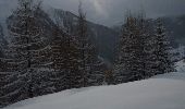 Randonnée Raquettes à neige Peisey-Nancroix - CRAB - JEUDI 03 MARS - PM - Photo 1