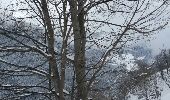 Excursión Raquetas de nieve Peisey-Nancroix - CRAB - DIMANCHE 06 MARS 2016 - AM - Photo 5
