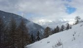 Tour Schneeschuhwandern Peisey-Nancroix - CRAB - DIMANCHE 06 MARS 2016 - AM - Photo 2
