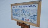 Tour Schneeschuhwandern Peisey-Nancroix - CRAB - DIMANCHE 06 MARS 2016 - AM - Photo 1