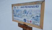 Percorso Racchette da neve Peisey-Nancroix - CRAB - DIMANCHE 06 MARS 2016 - AM - Photo 1