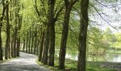 Trail Walking Libramont-Chevigny - 3. Promenade non balisée au départ du village propre et fleuri de Flohimont  - Photo 4