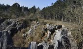 Trail Walking Couvin - Randonnée géologique - Photo 1