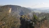 Tour Wandern Couvin - Randonnée géologique - Photo 2