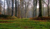 Trail Walking Villers-Cotterêts - en forêt de Retz_43_la laie des Pots_1 - Photo 13