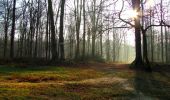 Randonnée Marche Villers-Cotterêts - en forêt de Retz_43_la laie des Pots_1 - Photo 12