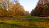 Trail Walking Villers-Cotterêts - en forêt de Retz_43_la laie des Pots_1 - Photo 15