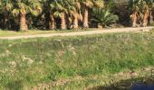 Excursión Senderismo Saint-Féliu-d'Avall - 66 ST-FELIU-D'AVALL, CORNEILLA DE LA RIVIERE, promenade autour de la Têt - Photo 19