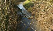 Trail Walking Dainville - le Crinchon - Photo 15